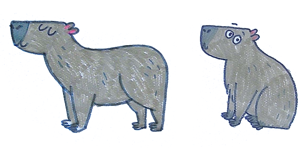Learn to Draw a Capybara — Mirkah
