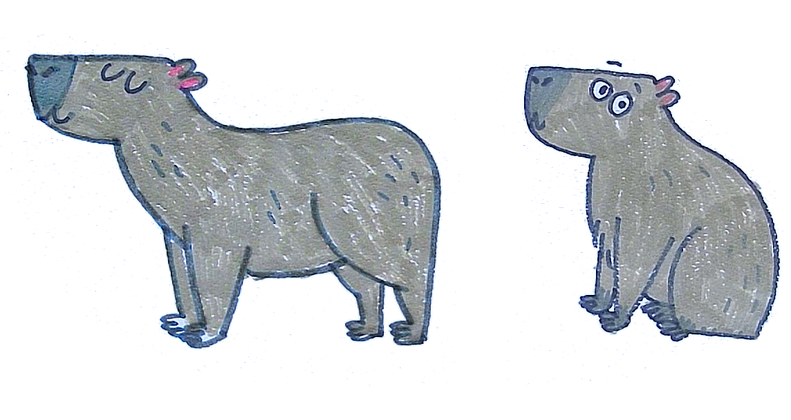 Learn to Draw a Capybara — Mirkah