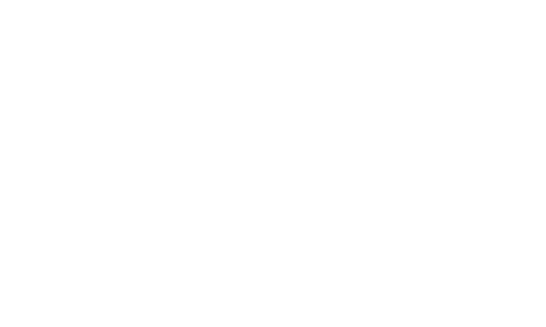 DarkOption Flow