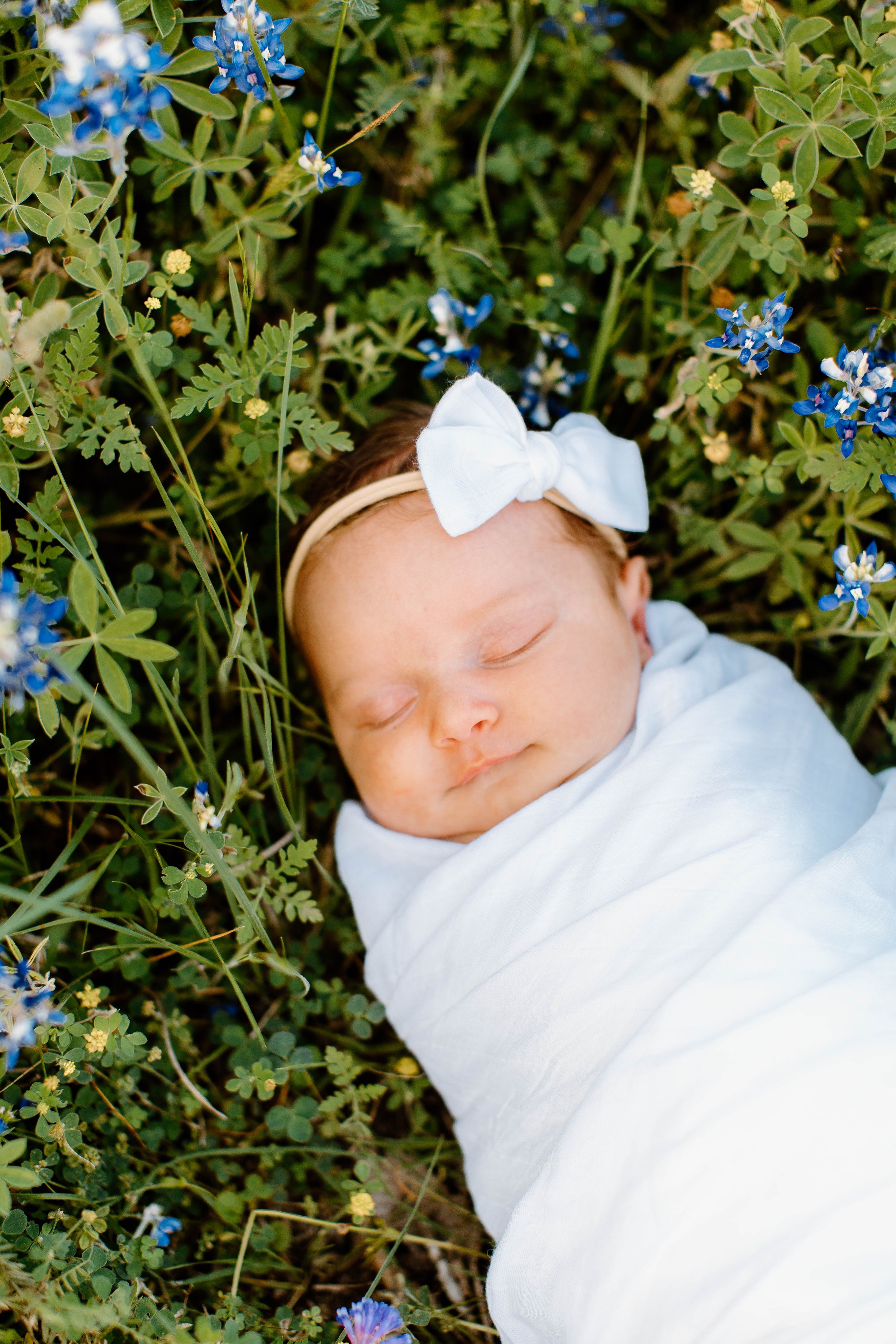 bluebonnets, bluebonnet mini session, spring mini session, mayfield photographs, family, couple, kids, photoshoot, photographer, conroe Texas, willis Texas, flowers, sunset