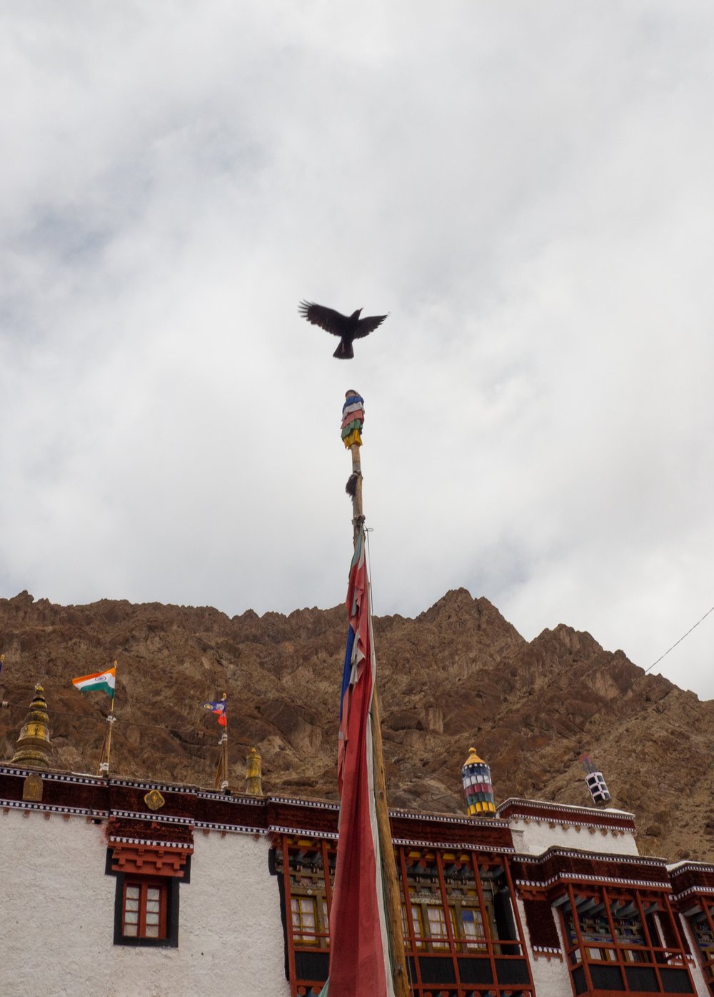 Ladakh-026.jpg