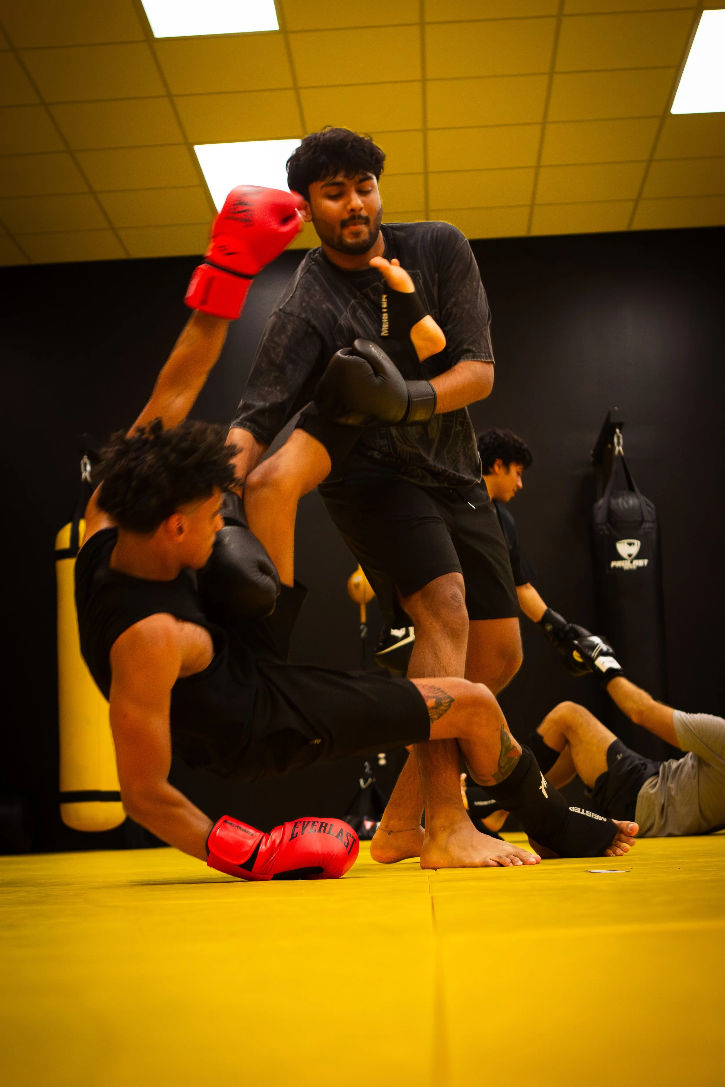 Martial Arts in the Real World