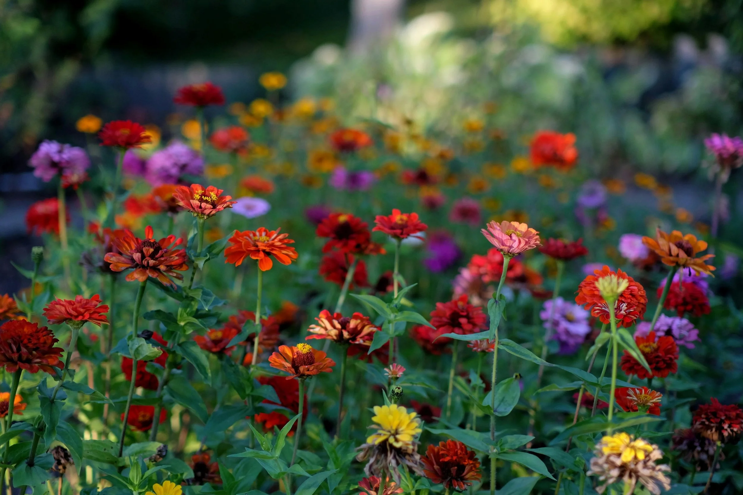 What Healing Looks Like: Managing Expectations