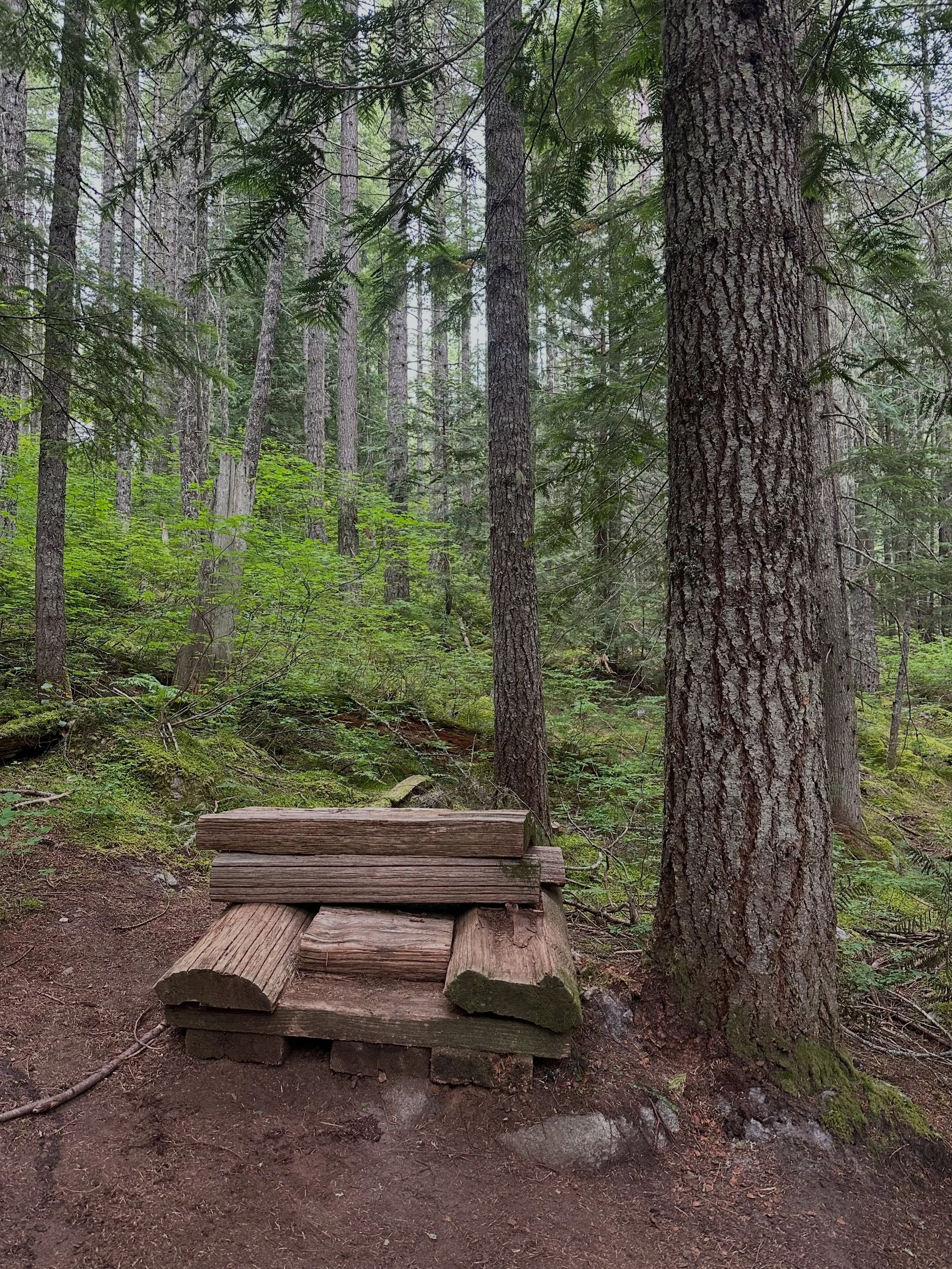 spotted in the cascades 🪑 🌲 👀 

#chairs #chairsofinstagram @chairs.in.the.wild @randomchairs #seattle #washington #hiking
