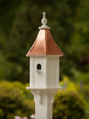 Shop — Carolina Charm