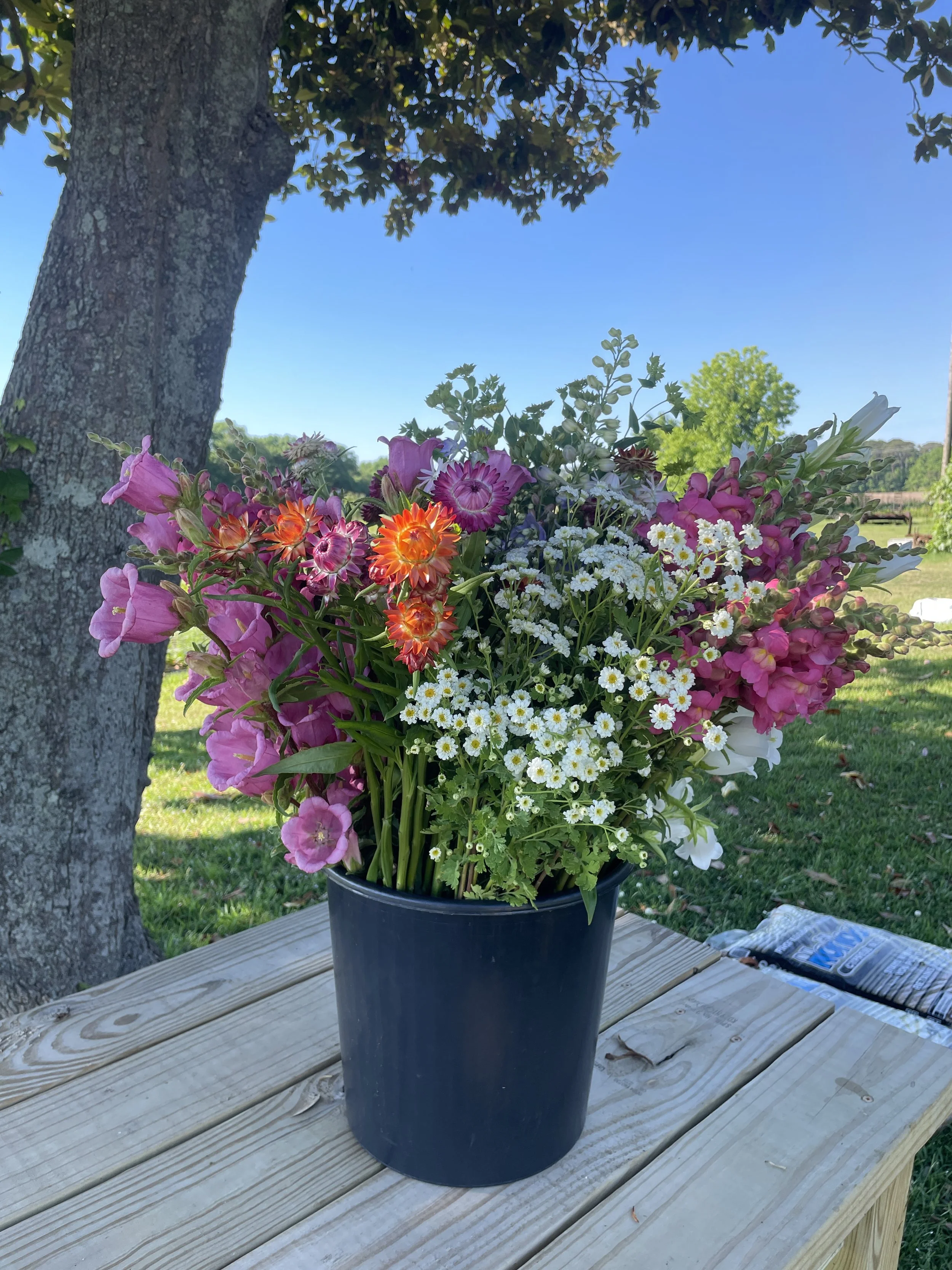 Seasonal Bulk Flower Bucket