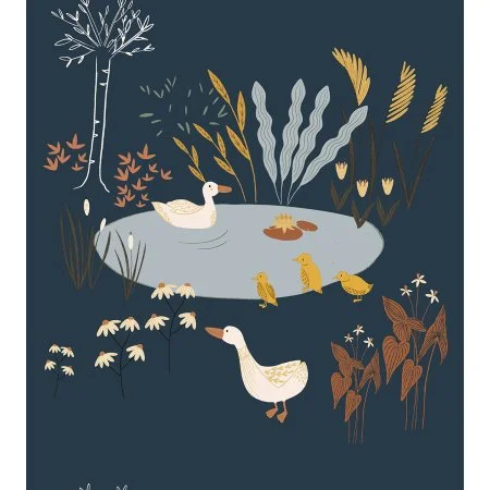 id100la2_ducks_lagoon.jpg