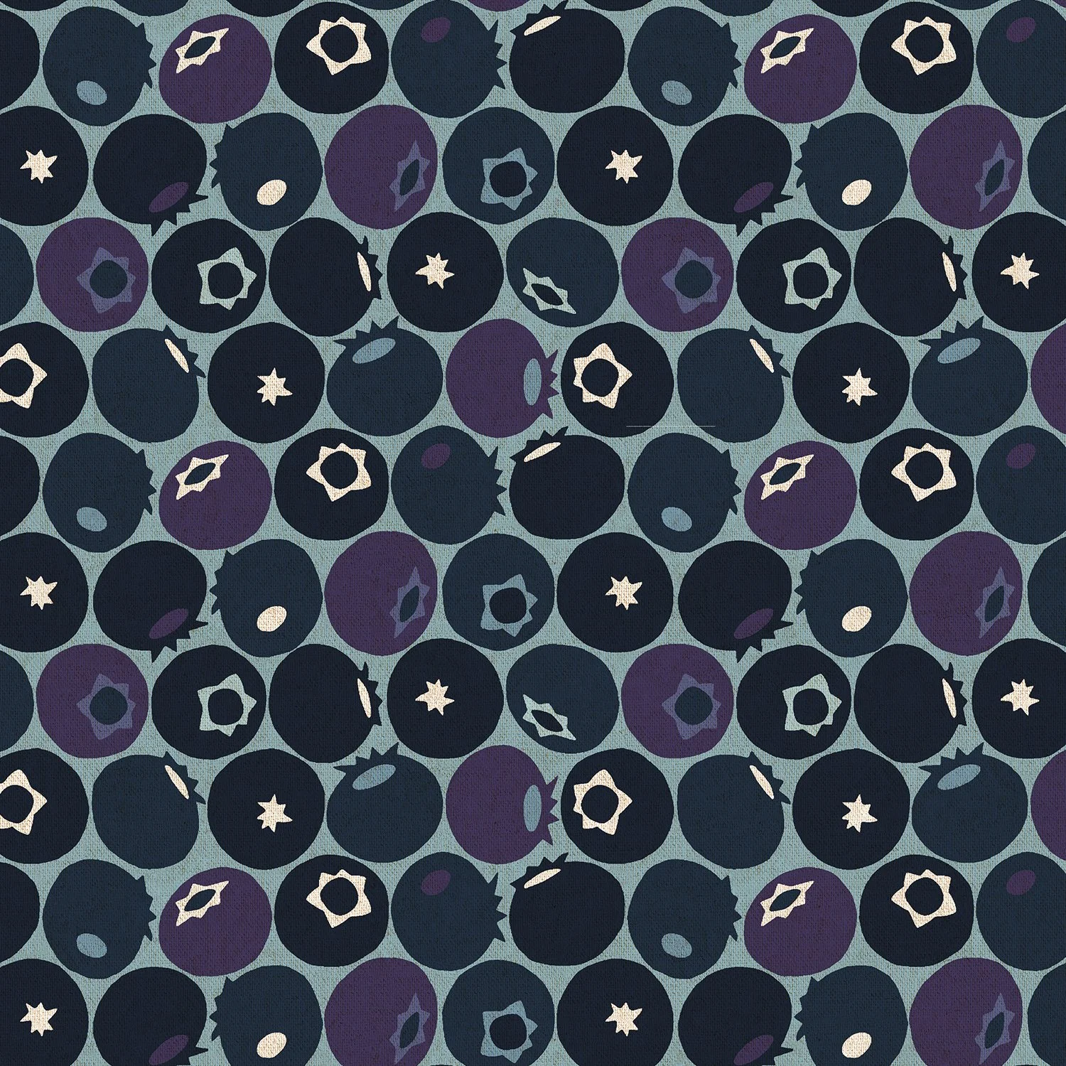 lv501do8uc_blueberry_downpour canvas.jpg
