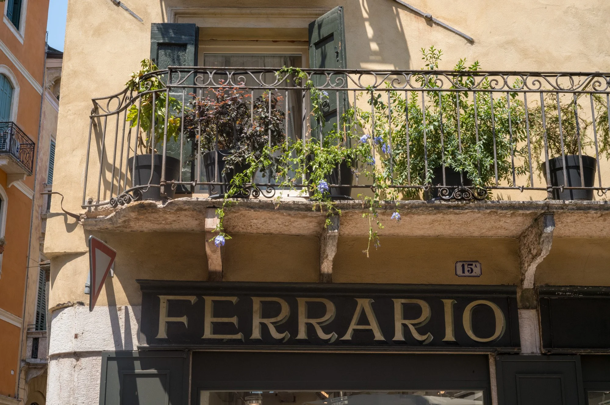 Building exterior in Verona, Italy, with a small balcony decorated with potted plants and vines, above a hand-painted storefront sign reading 'Ferrario'.
