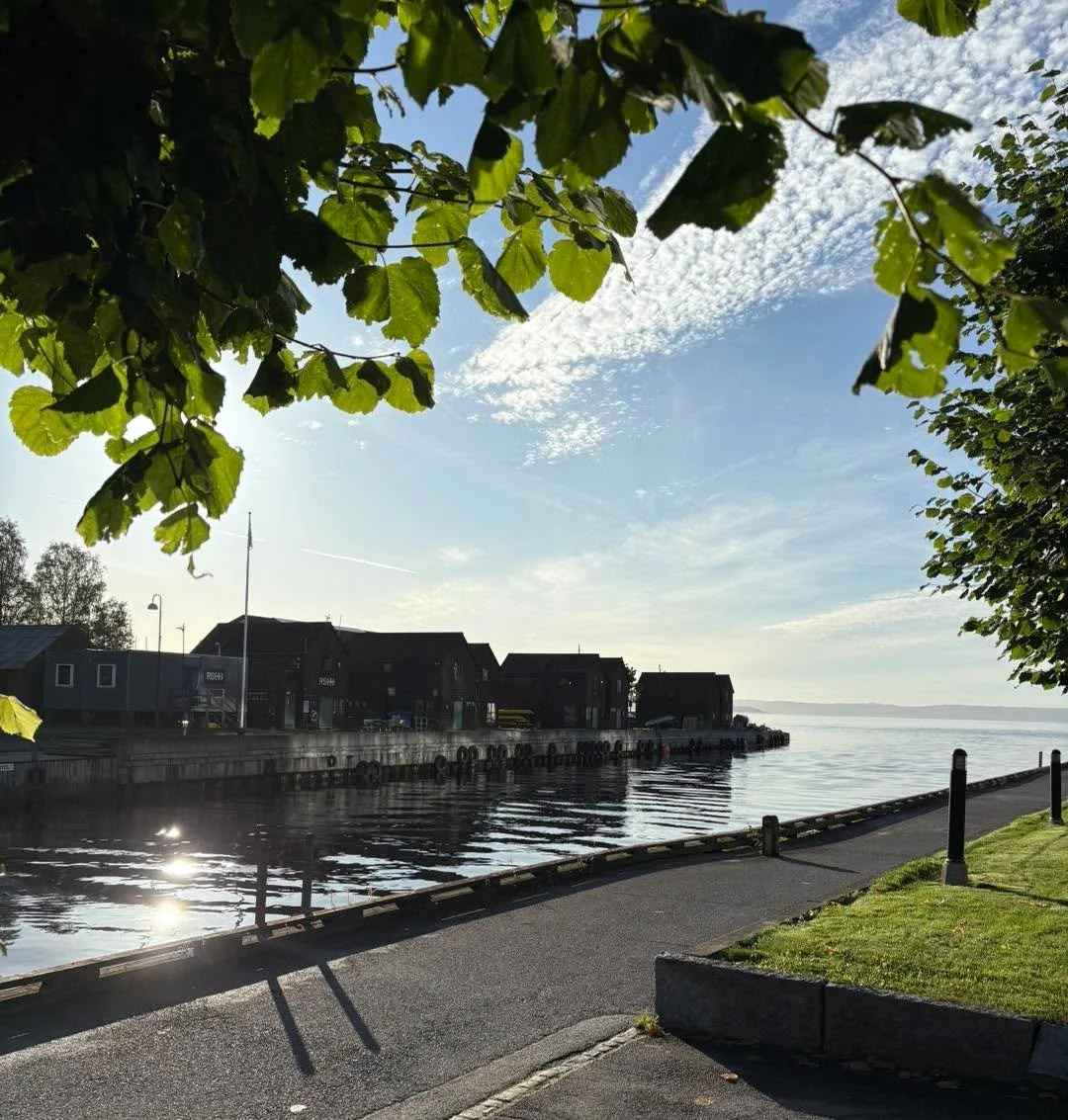 Vakre morgener fortjener vakker musikk. Mine er fylt med Mozart om dagen – snart får vi dele det med dere 12. oktober 🌊🎼 #kammerkor #kormusikk #christianiakammerkor #korliv #musikglede #mozart #mozartrequiem #MozartRequiem #konsert #osl