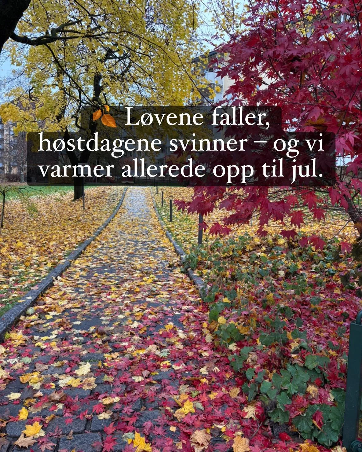 Fra h&oslash;stblader til juletoner 🍁✨ 
Vi inviterer til julekonsert med Christiania Kammerkor!

📅 10. desember kl. 19:00 
📍 Gamle Aker kirke 
🔗 Lenke til Facebook-arrangementet ligger i kommentarfeltet

Velkommen til en stemningsfull kveld med m