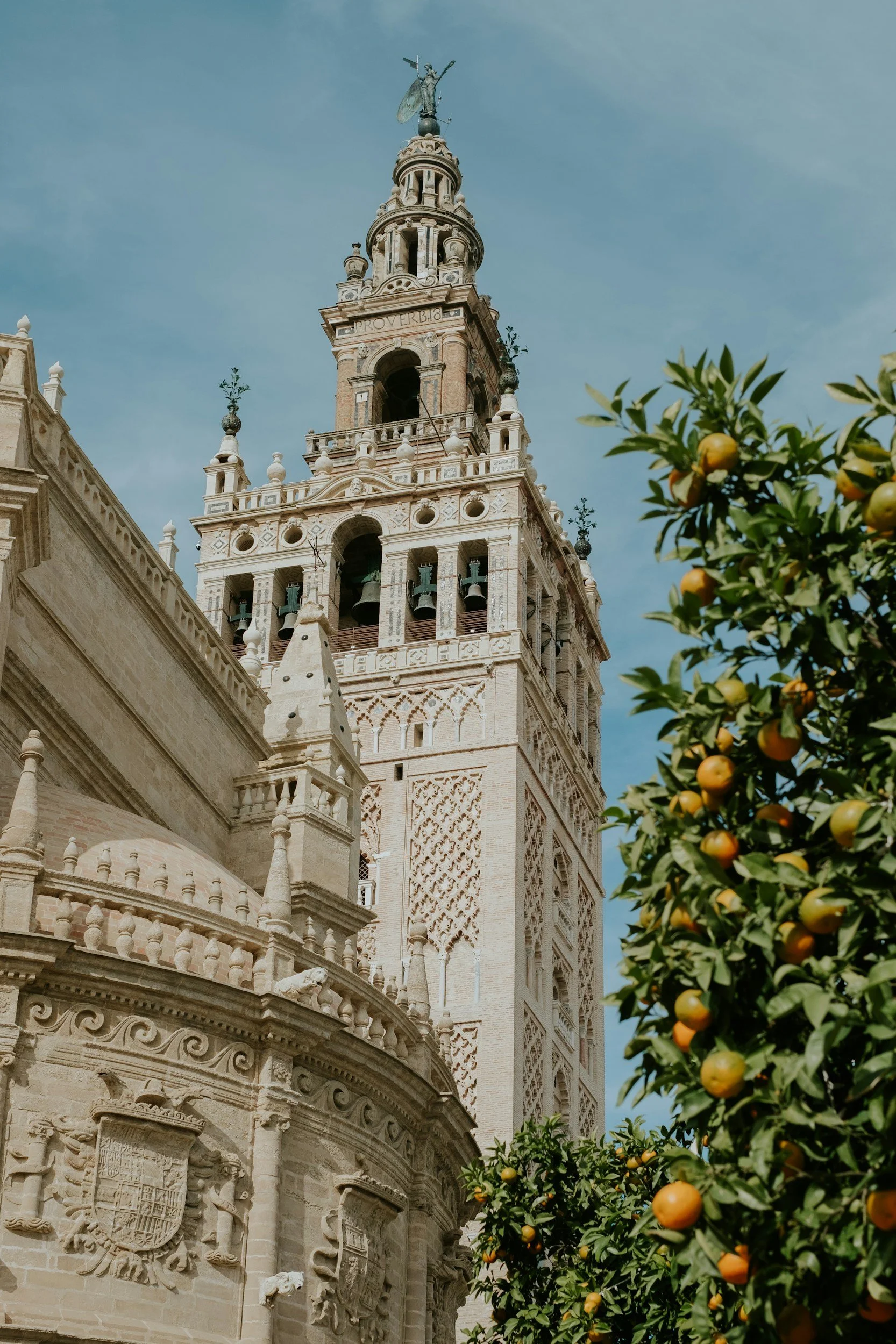 unsplash-image-l18cvV6FuFg.jpg