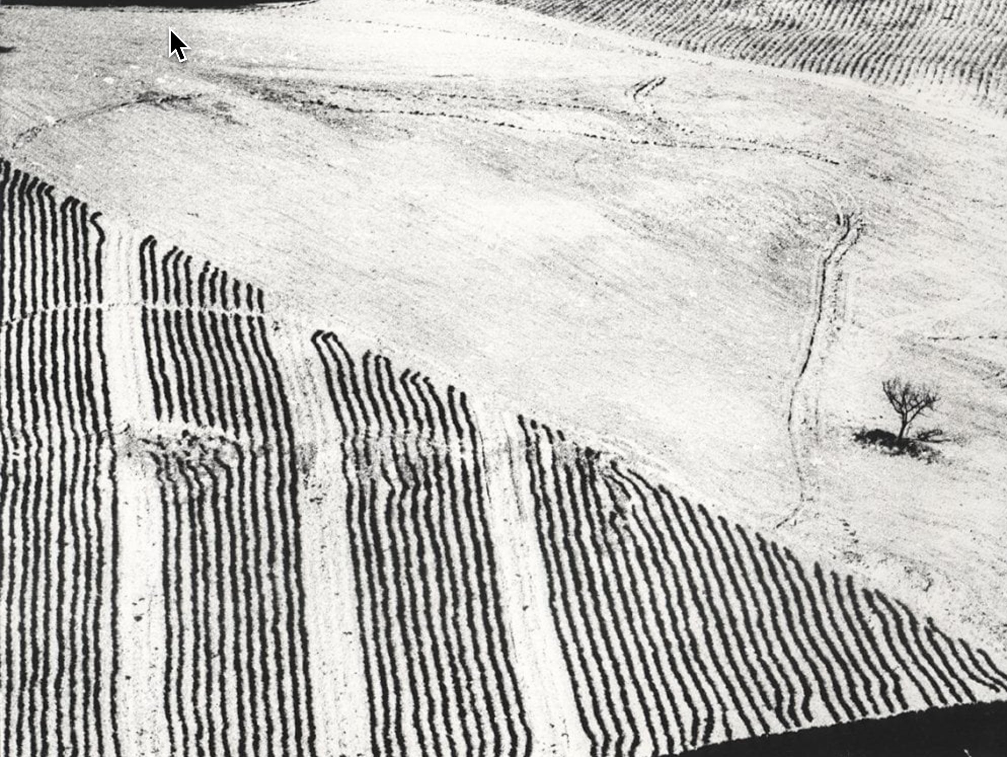 Metamorfosi della terra, 1955/’80