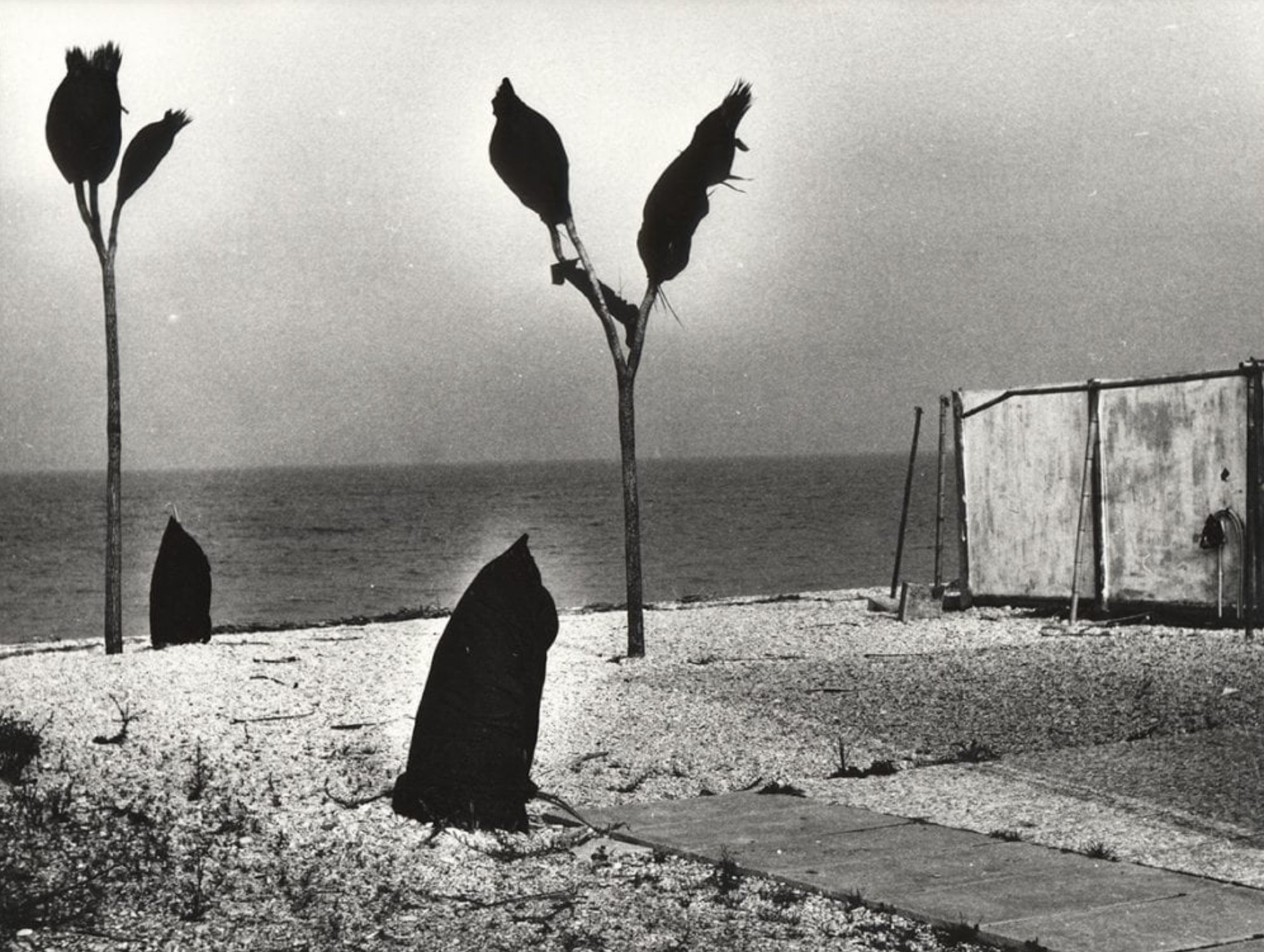 La domenica prima, 2000
