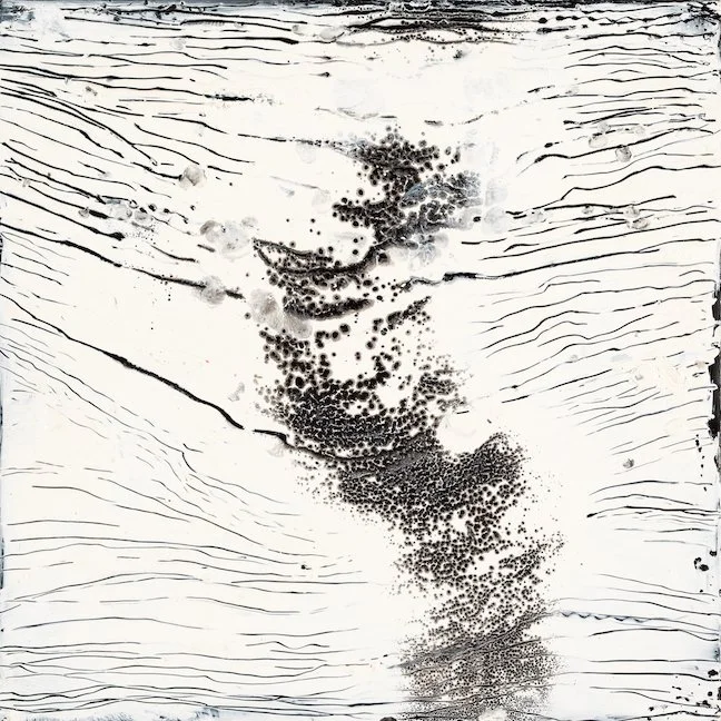 CES-1946-E16_Concatenation IV_6x6_SOLD.jpg