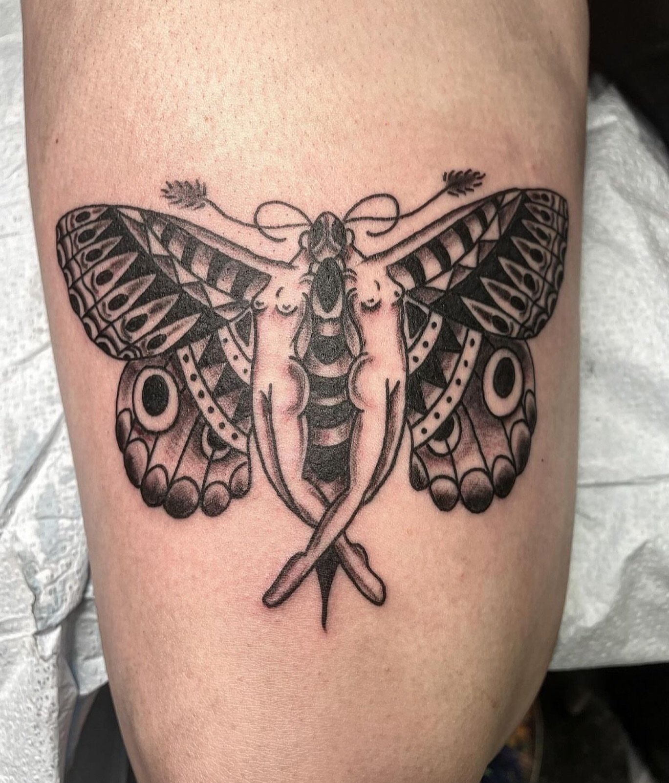 Pretty fly one from @jakeyliketattoo! Flutter on through the shop and catch him for something new of your own.