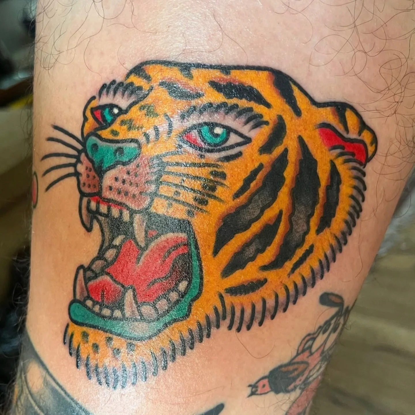 Bright colors and classic designs made by @mikekrodriguez here at Trader Bob&rsquo;s 🐅

Make sure to stop by Thursday or Sunday to catch a walk-in with Mike!