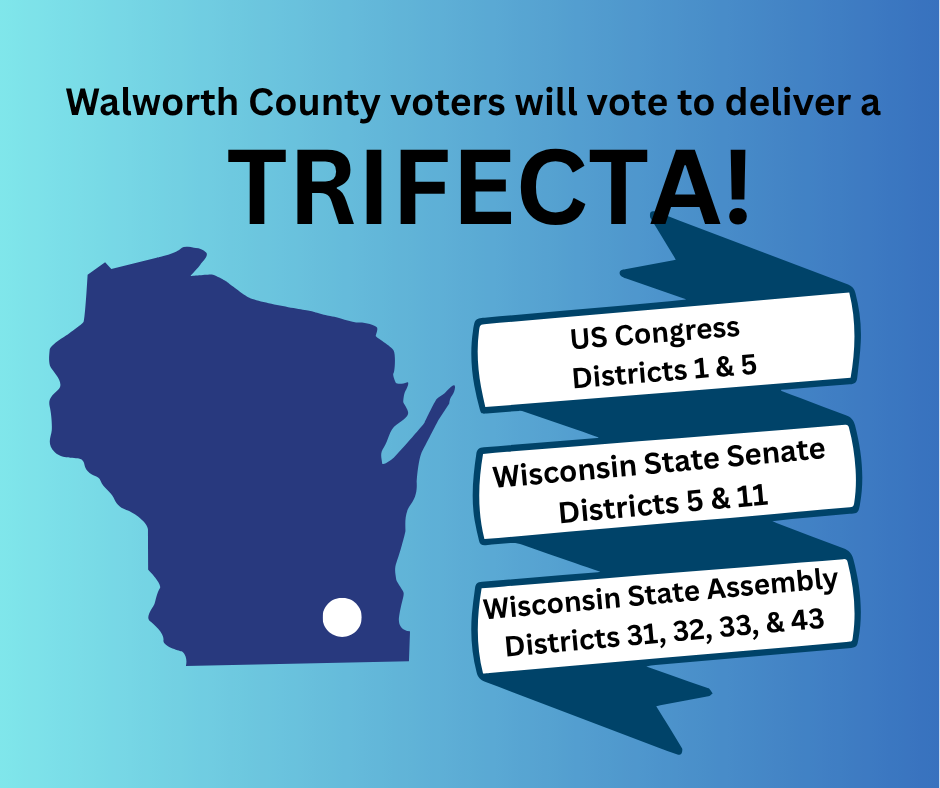 Election Page Graphics (4).png