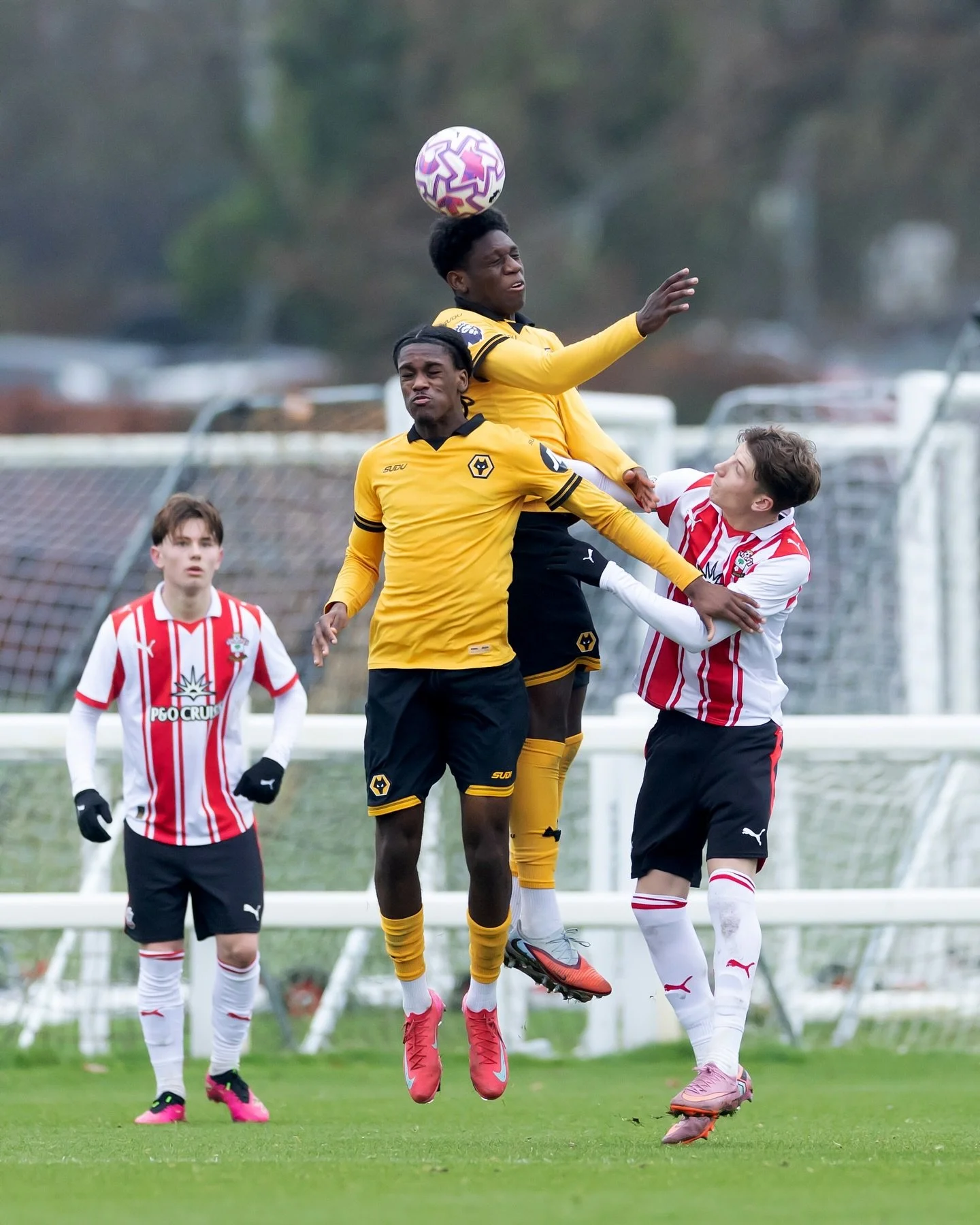 Wolverhampton Wanderers U18 v Southampton U18 | U18 Premier League Cup

📸 For Wolverhampton Wanderers 

#wolverhampton #wolverhamptonwanderers #epl #football #footballphotography #footballphotographer #sportsphotographer #sportsphotography #gettyfc 