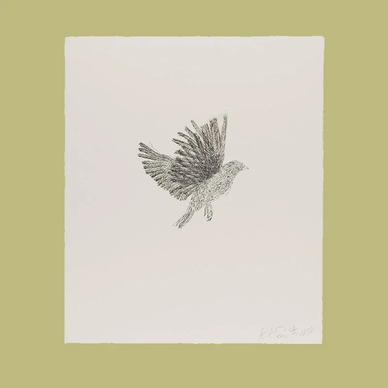 bird