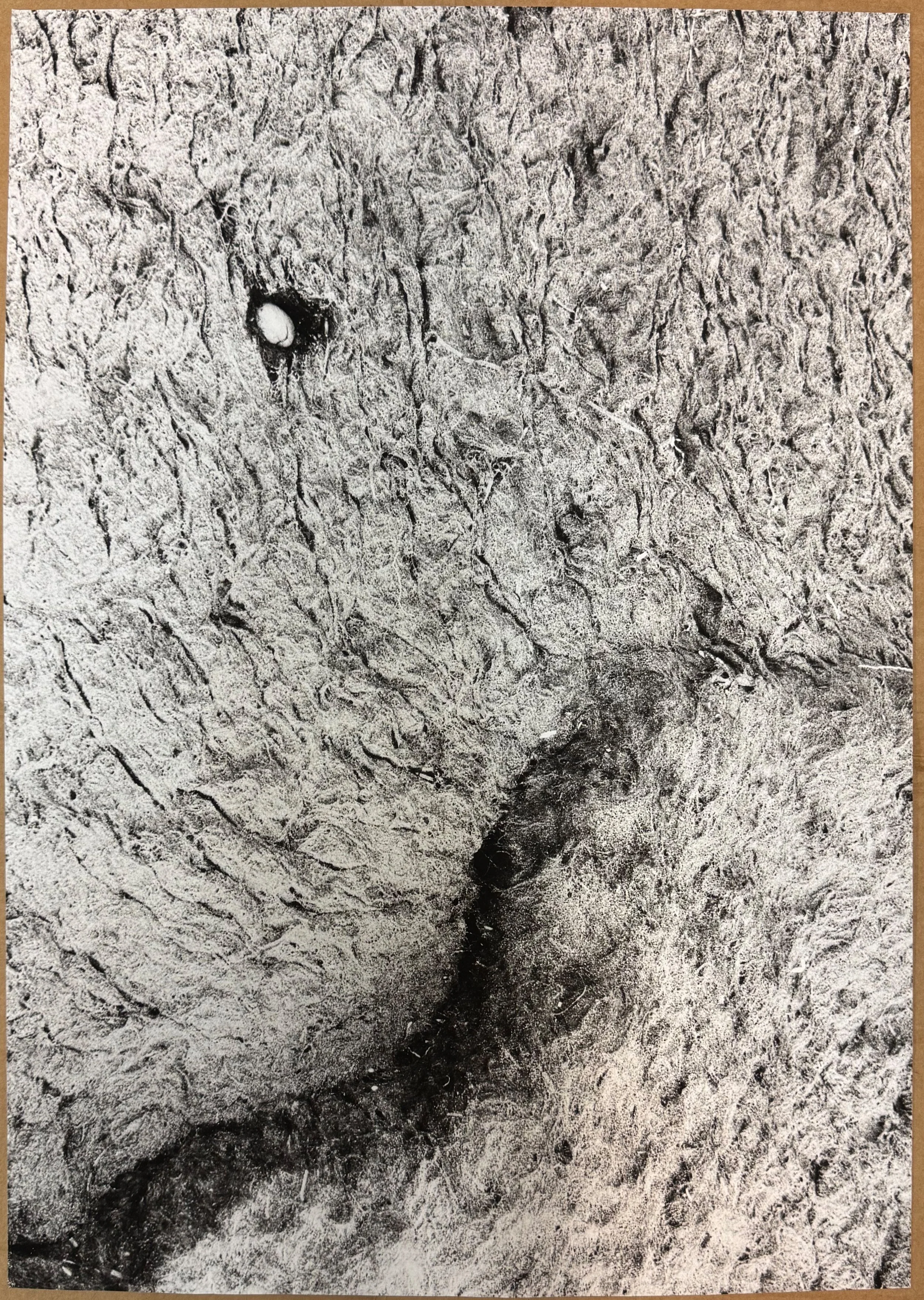 2025-12-22 11.02.24.jpg