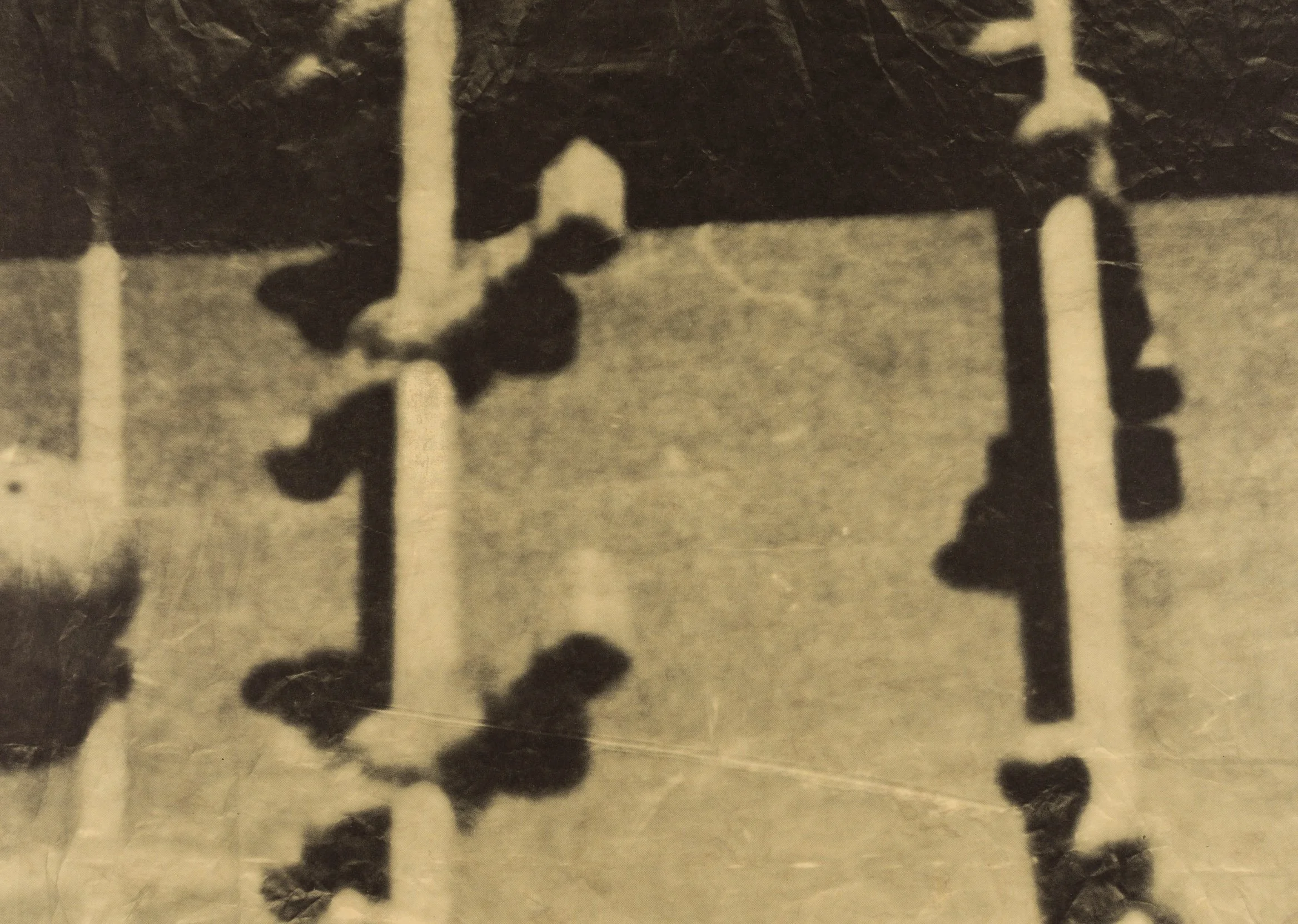 7 JS 2023 06 05-9882.jpg