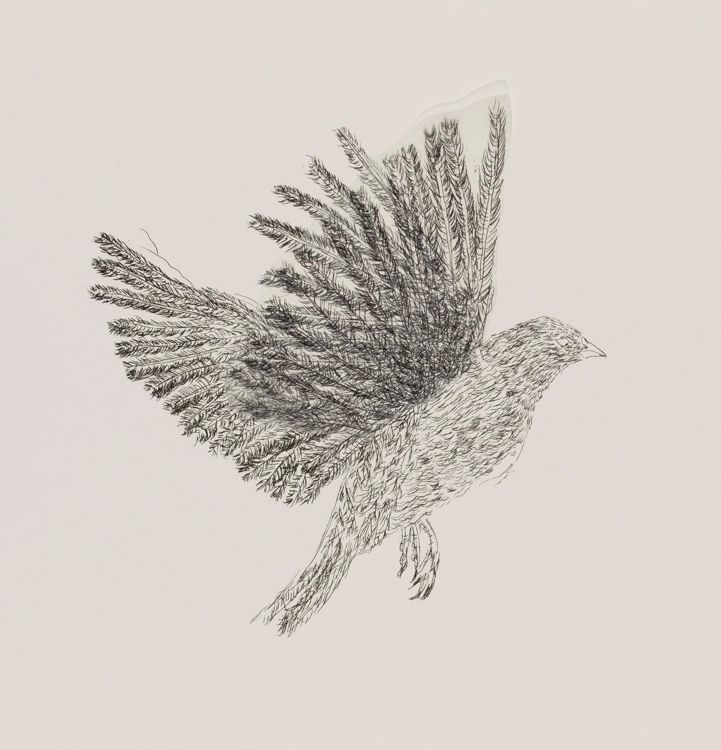 6 JS 2023 06 05-9874.jpg