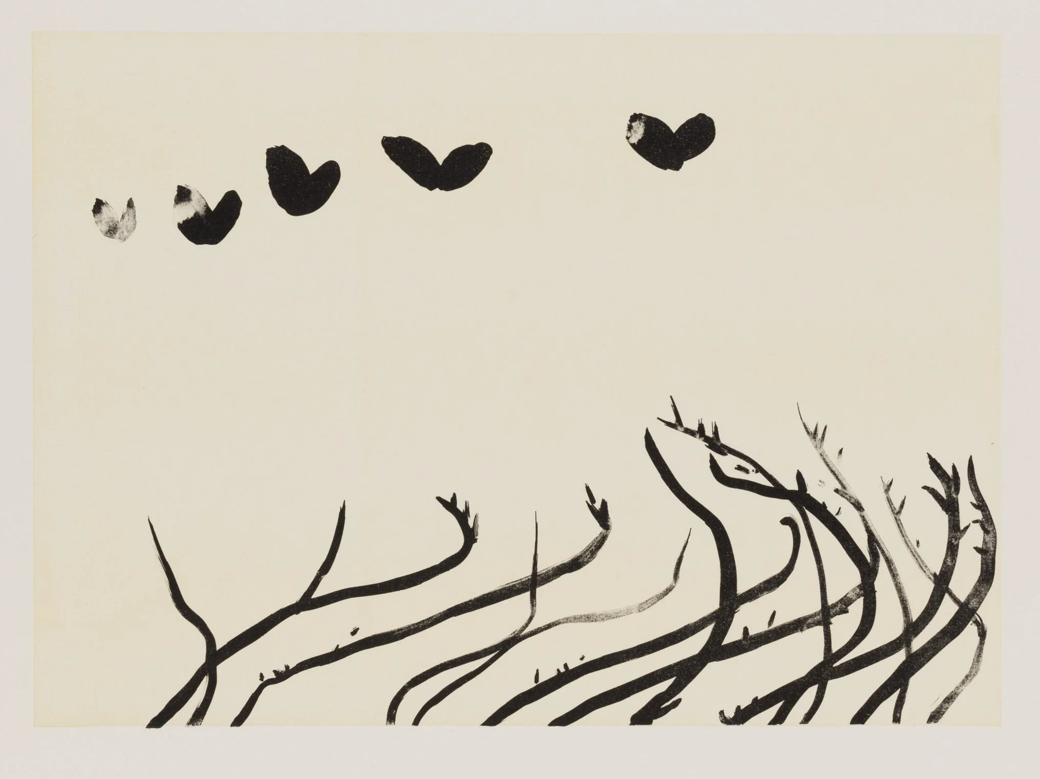 14 JS 2023 06 05-9864.jpg