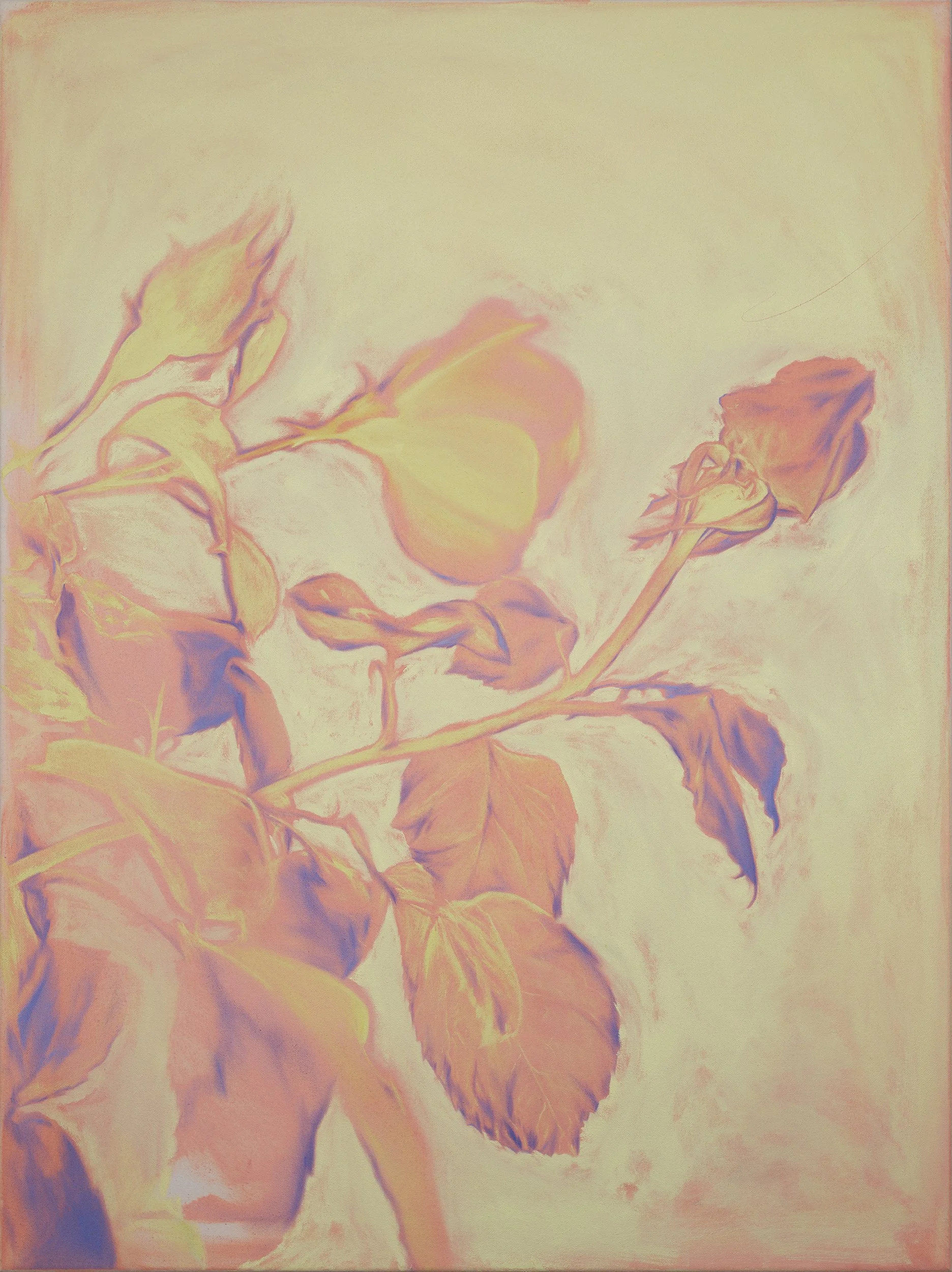 Scharfenberg_2025_100x75cm_Leise_Einsicht_Ölfarbe_Acrylfarbe_auf_Leinwand_web.jpg