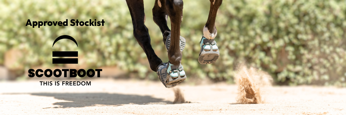 Scootboot Approved Stockist