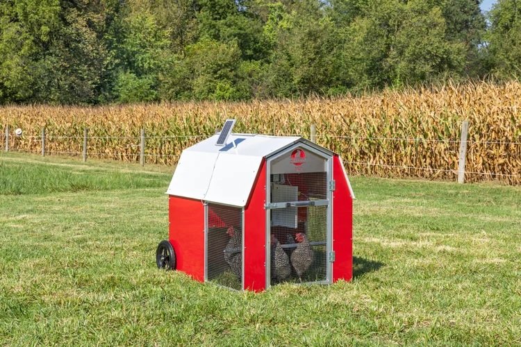 Superior Poultry Products
