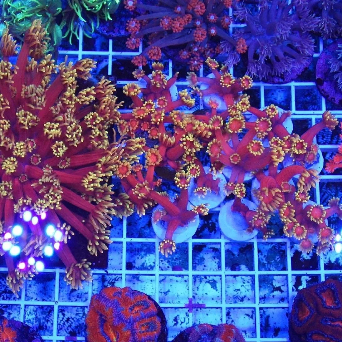 92BF2EF7-93B9-45EB-8EC1-04553D460953.jpg