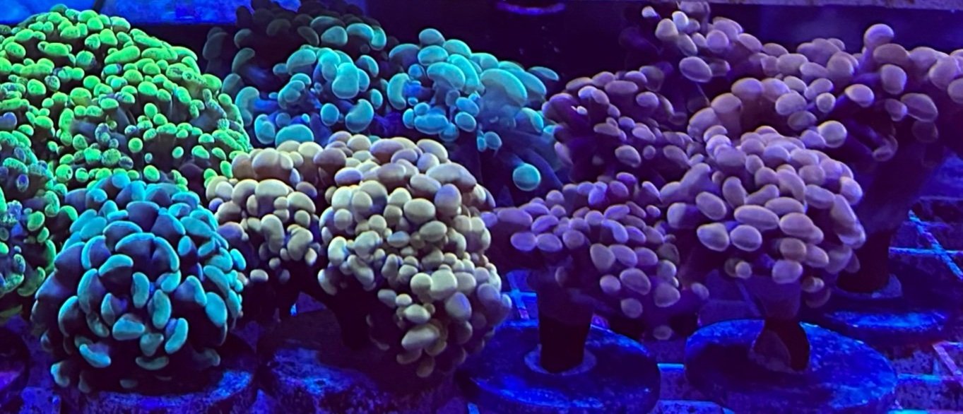 9B47838E-9CC5-4D8C-AE0E-3932F4251EB6.jpg