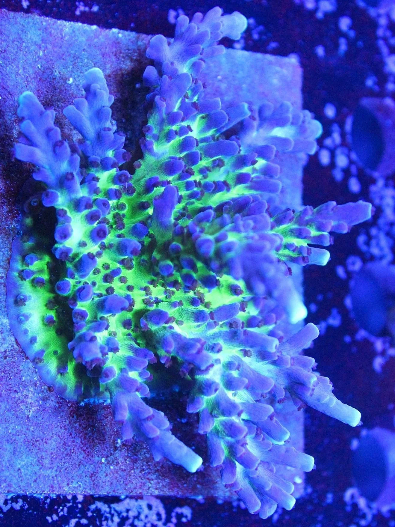 C9DB7D93-AA13-434F-9A39-9C0DE7CCF22F.jpg