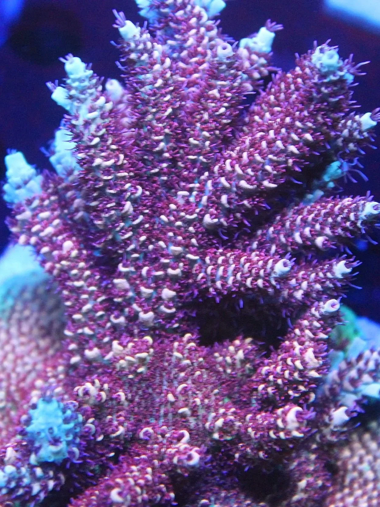 4F0C758A-E89A-46C7-AD4F-C7F365E0C4B1.jpg
