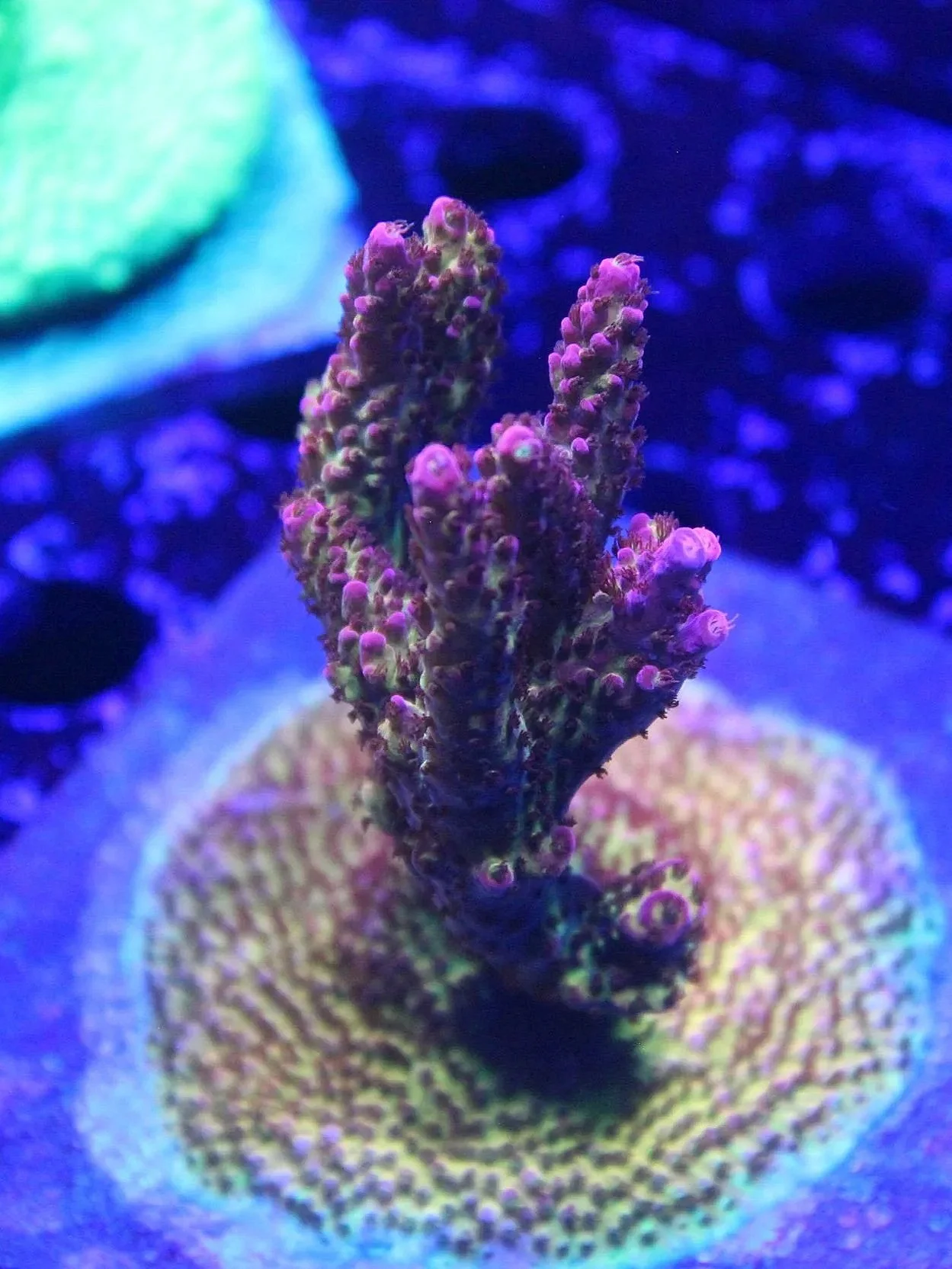 028F02AA-E043-4921-9A3C-4D5D1850EF7F.jpg