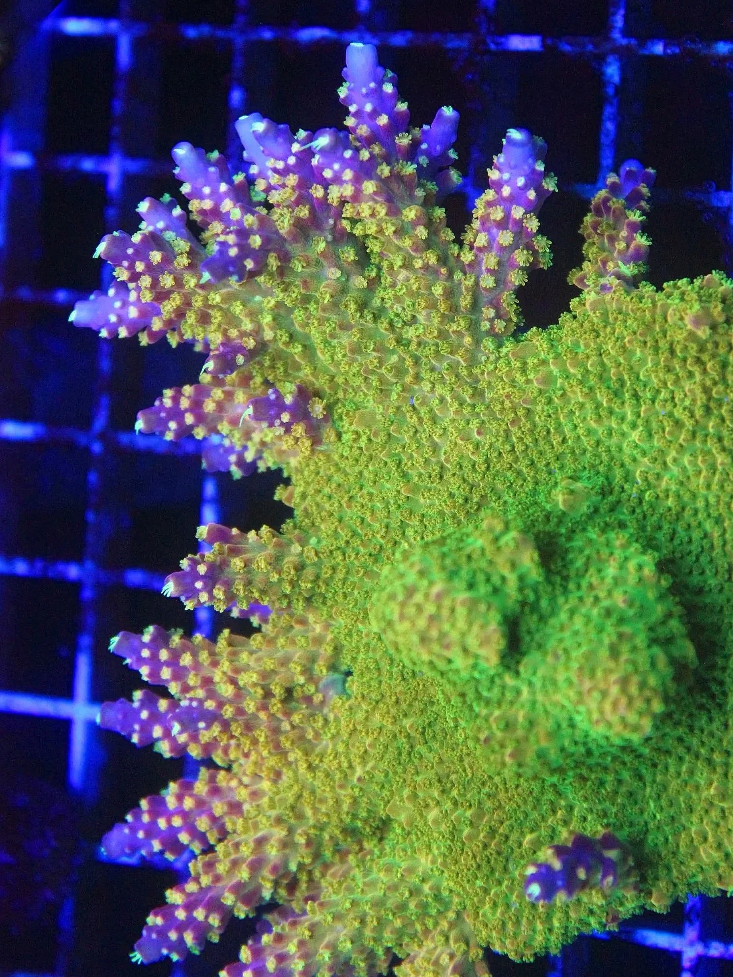 828E67A7-7A91-40F4-9272-79E54F7EBC54.jpg