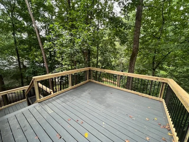 Seth Deck Floor.jpg