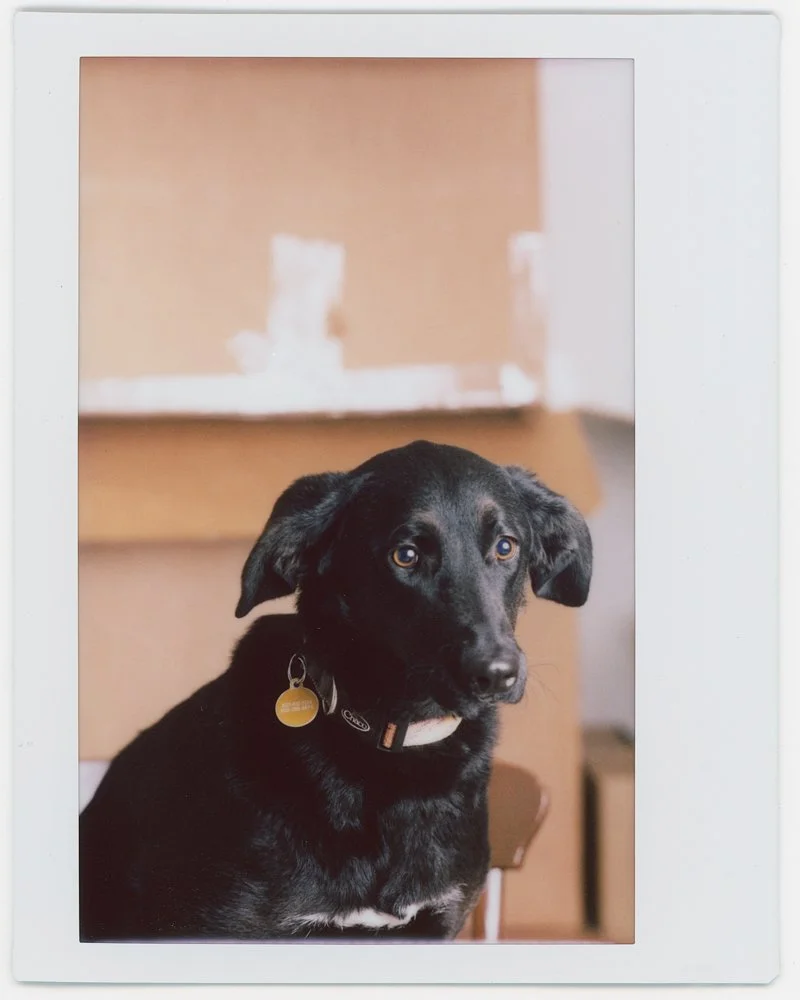 20220404-laikainstax-2.jpg