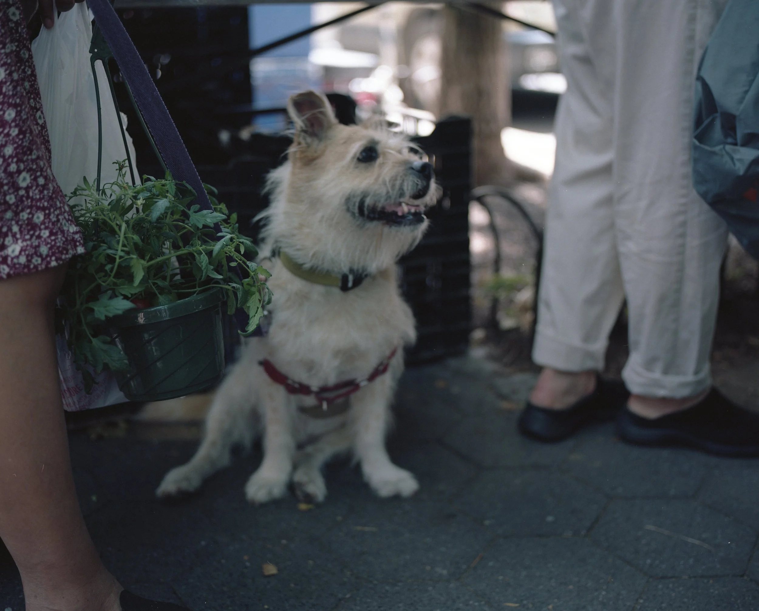 20190810-misc003.jpg