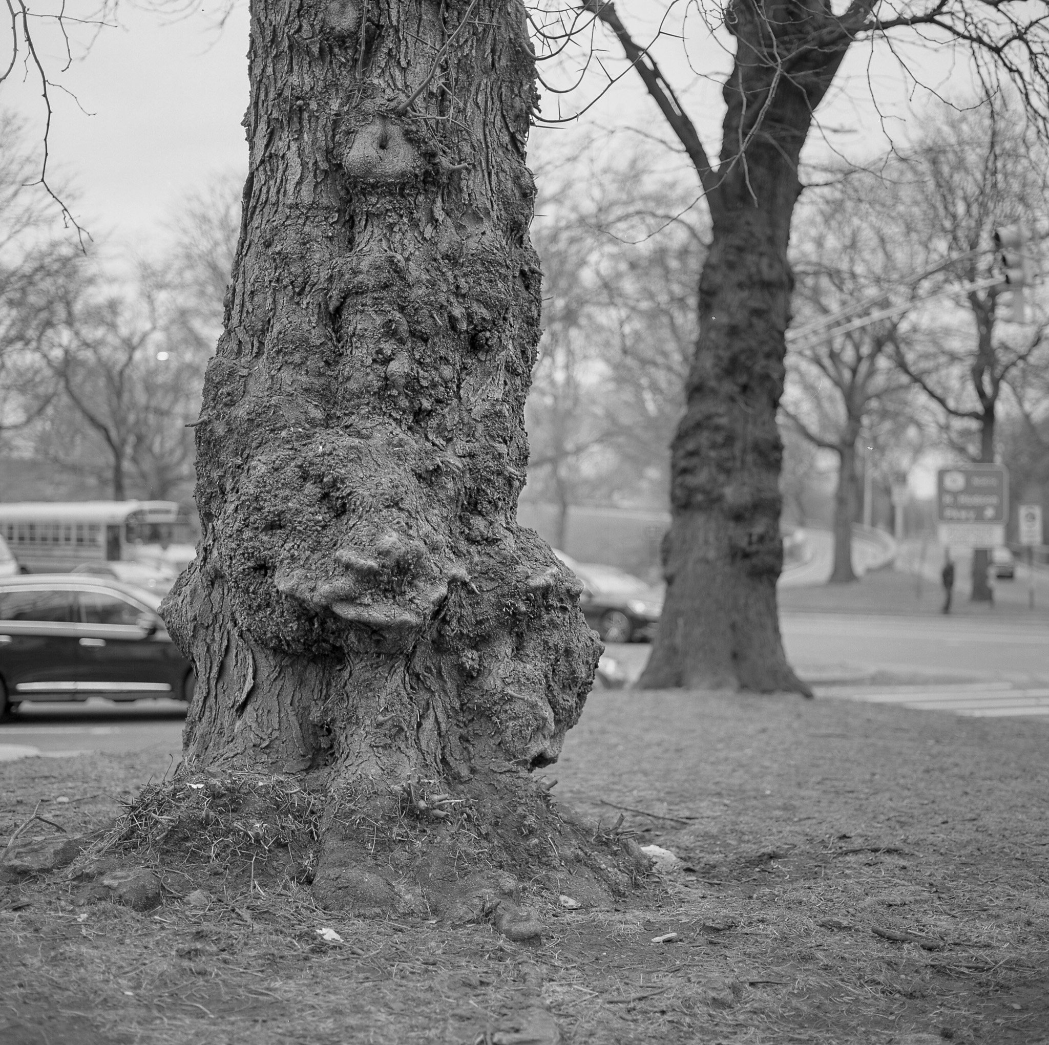 Near Traffic, Riverside Park