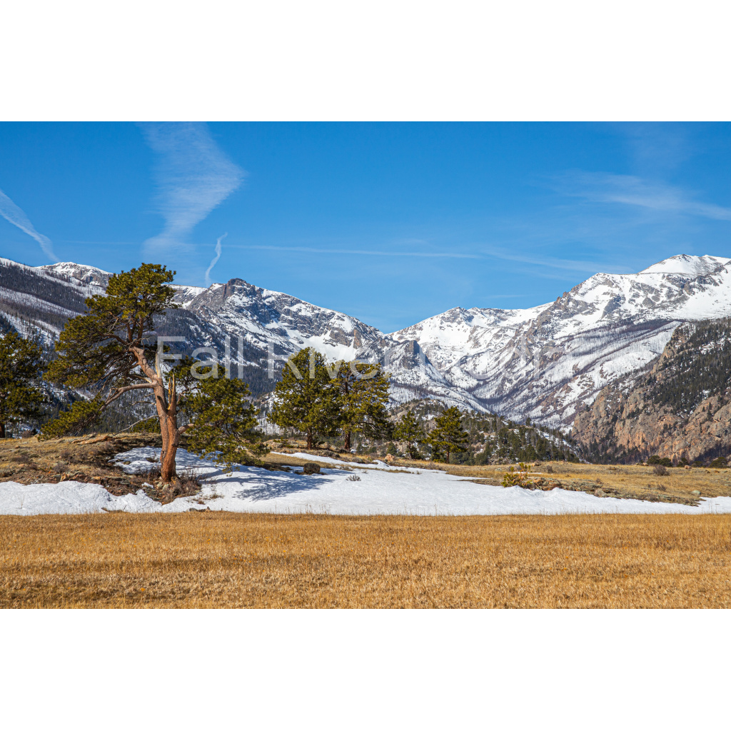 image_original_fcffca6072a006416463f988a38de138.png