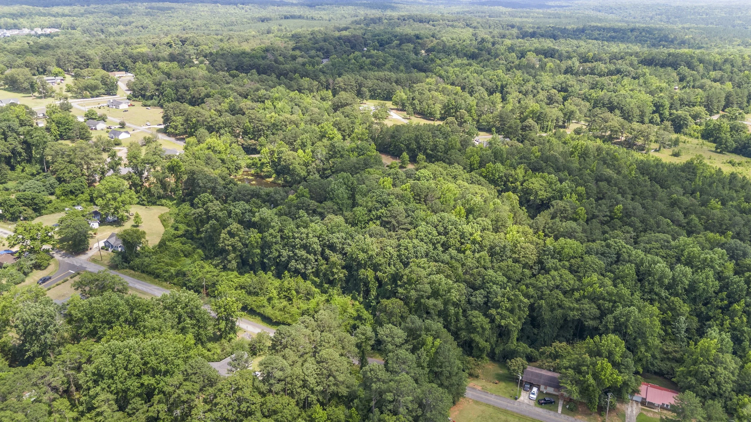 DJI_20240615155025_0019_D_S.jpg