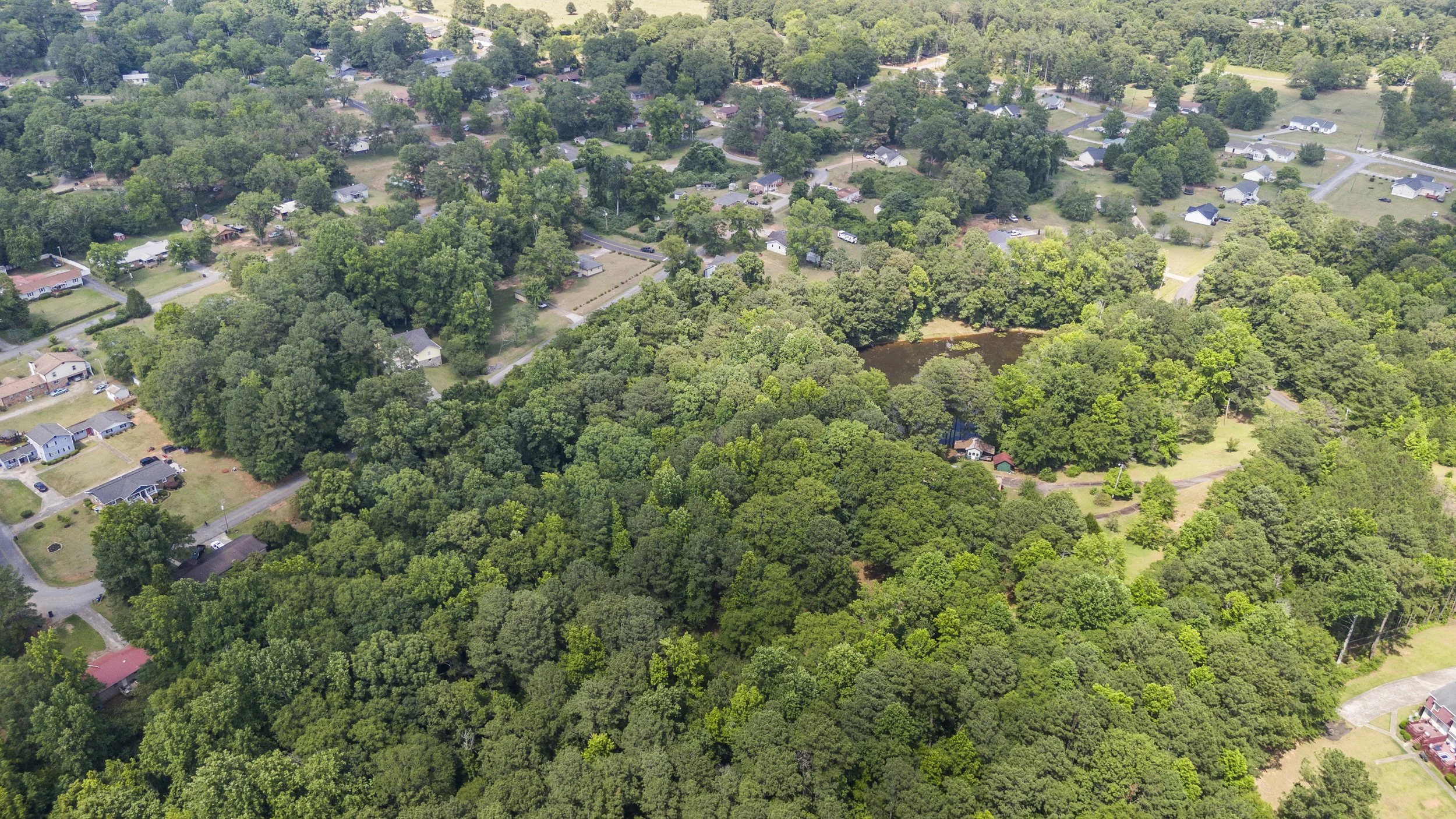 DJI_20240615155149_0022_D_E.jpg