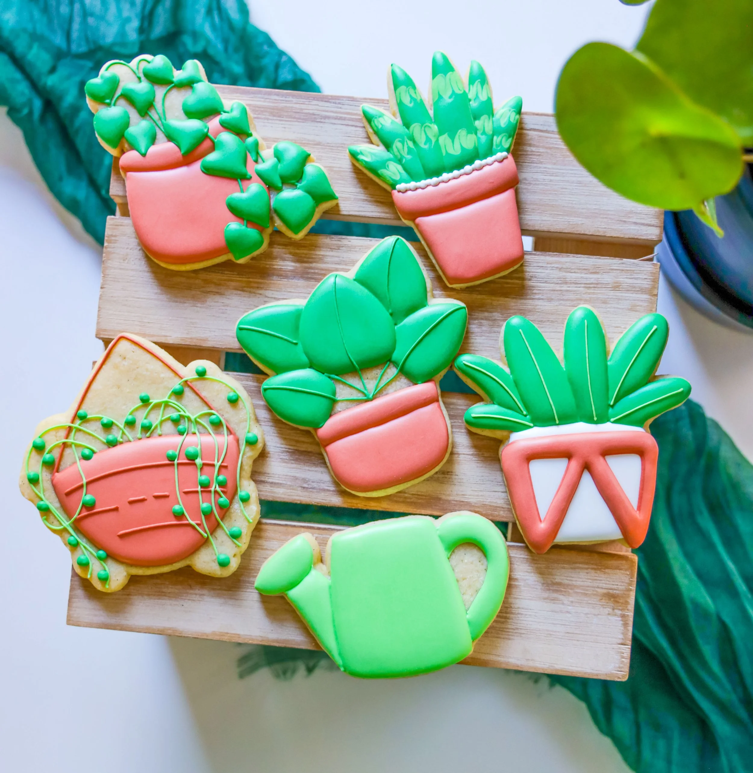 Themed Cookie Decorating Kits- Bring the fun home!