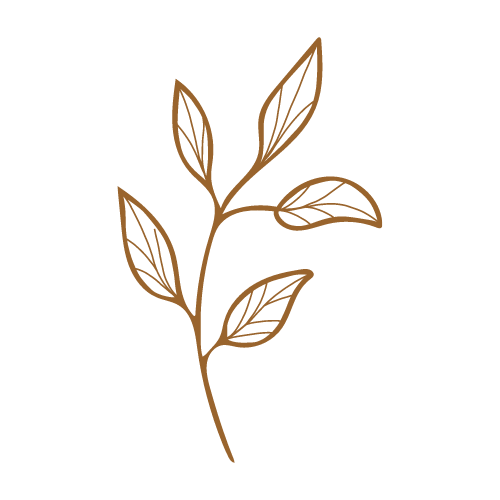 Papaya Playschool Home Daycare