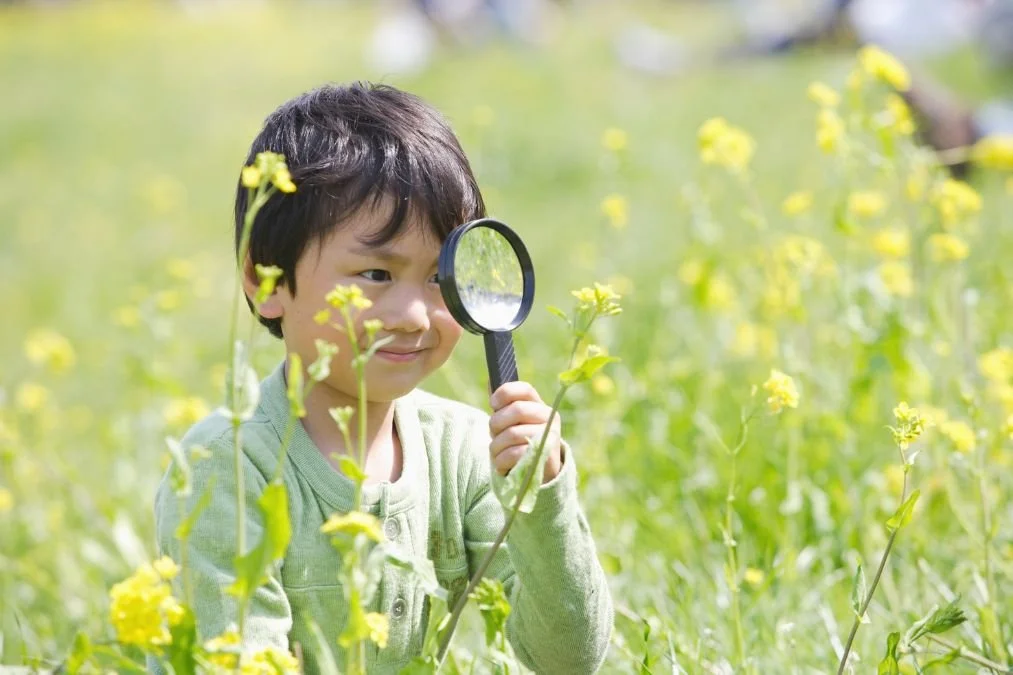 Stay Curious: How Asking Questions Brings More Joy