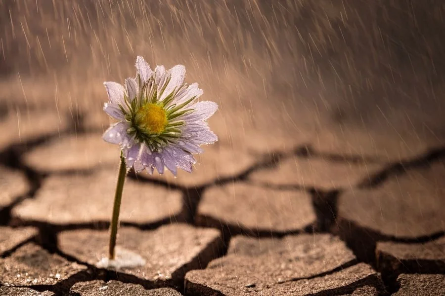 Hope vs. Happiness and the Meaning of Life