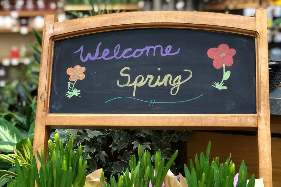 Welcome Spring! How the Season Naturally Boosts Happiness — Happiness Posts