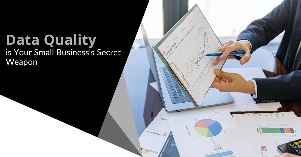 Data Quality is Your Small Business's Secret Weapon